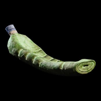 Crumpled Plastic Bottle